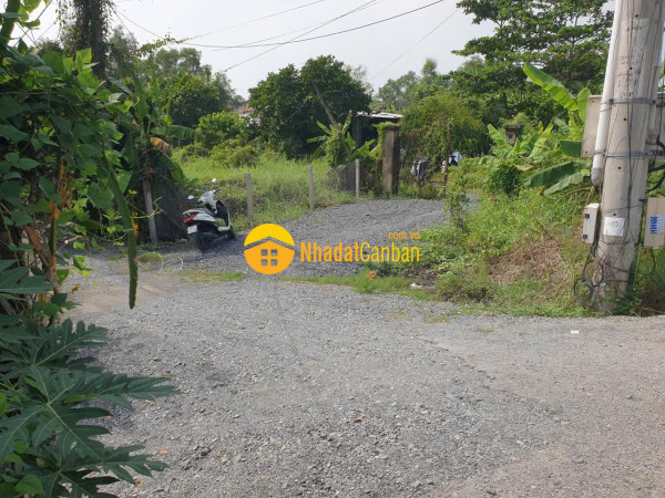 Sở hữu ngay lô đất cơ hội đầu tư hiếm tại hưng long bình chánh