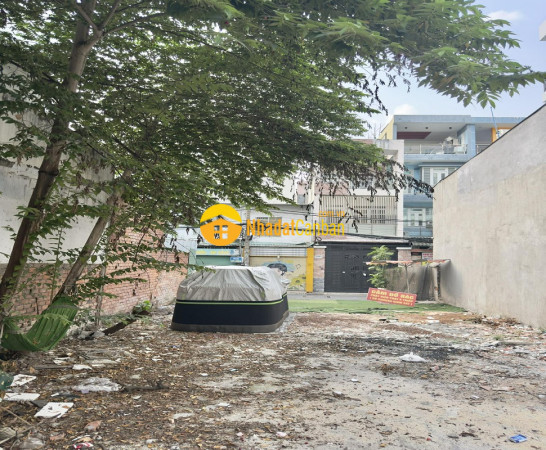 Bán đất 2 mặt hxh kinh doanh, đường trần thị trọng, phường tân bình, tphcm, 145m2, ngang 8m.