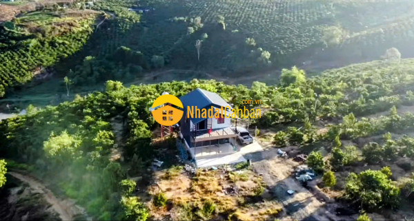 Cần bán 3.6 hecta đất cafe kết hợp nghỉ dưỡng thôn 6,xã ninh gia, lâm đồng