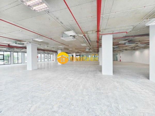 Cơ hội vàng cho doanh nghiệp nhà xưởng 950m2 giá chỉ 50km2