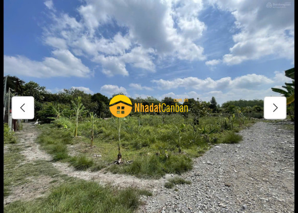 Cho thuê đất mt đường 7m rộng 1 mẫu tại đs 812, xã phú mỹ hưng, củ chi