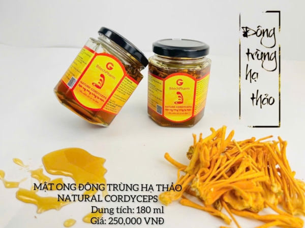 GLEECOS - NATURAL CORDYCEPS