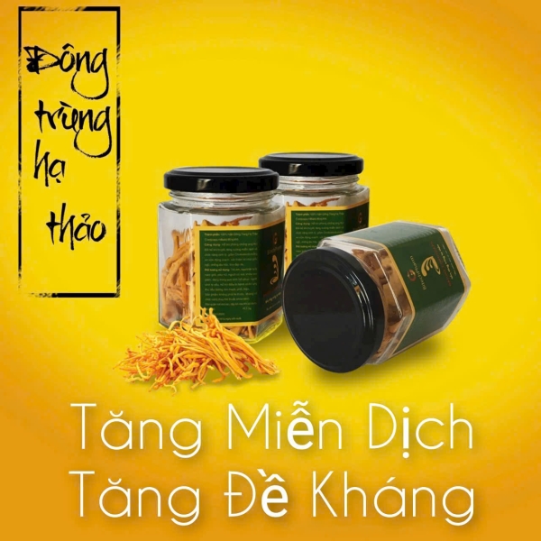 GLEECOS - NATURAL CORDYCEPS