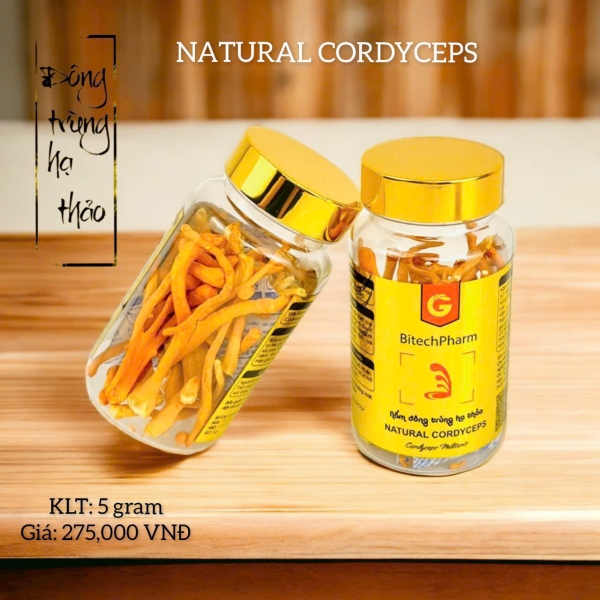 GLEECOS - NATURAL CORDYCEPS